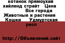 котенок прямоухий  хайленд страйт › Цена ­ 10 000 - Все города Животные и растения » Кошки   . Удмуртская респ.